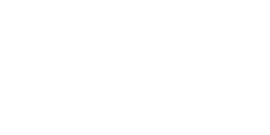 INCUBADORA VIRTUAL