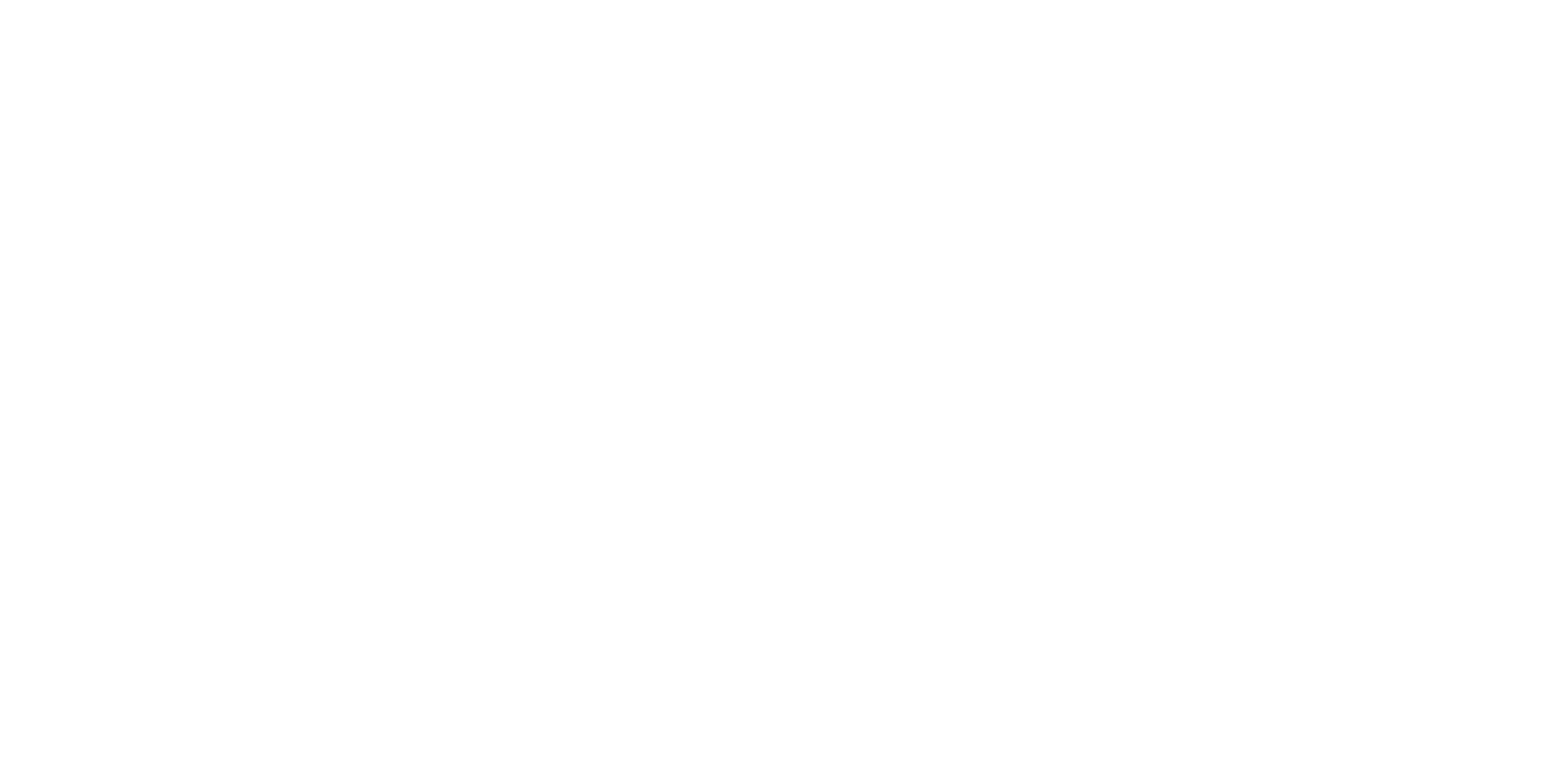 INCUBADORA VIRTUAL